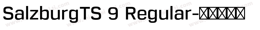 SalzburgTS 9 Regular字体转换